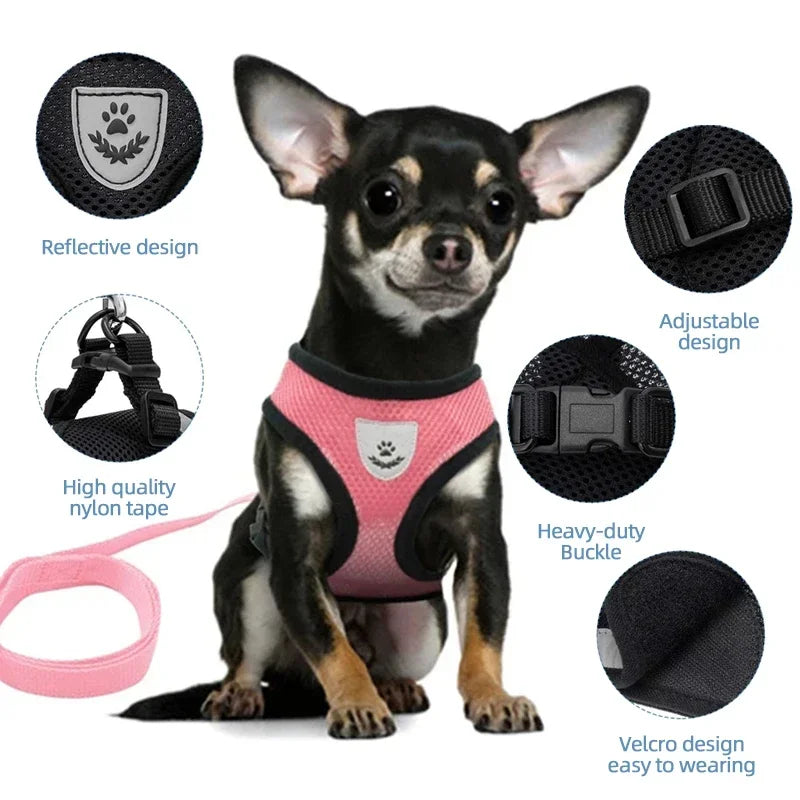 Cat & Dog Harness Vest – Adjustable Mesh with Walking Leash