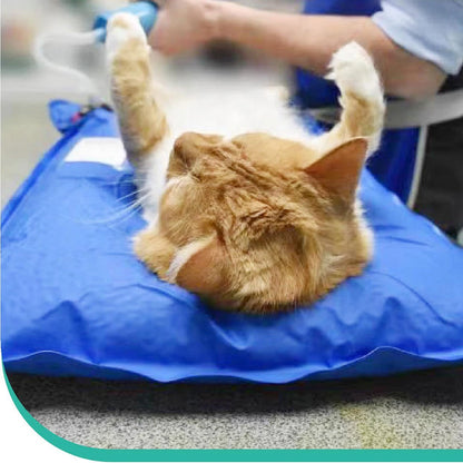 Veterinary Positioning Vacuum Mat  Small Animal Surgical Pad