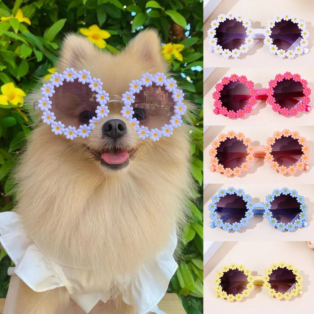 Flower Sunglasses for Cats & Small Pets  Cute Photo Prop + Dog Paracord Leash