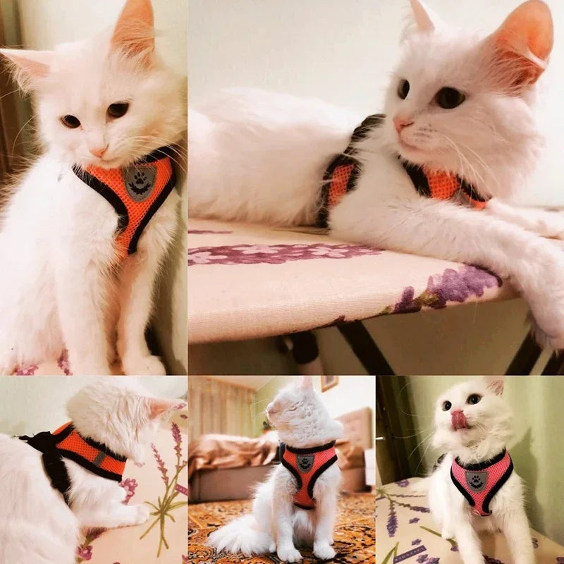 Cat & Dog Harness Vest – Adjustable Mesh with Walking Leash