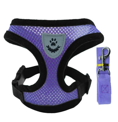 Cat & Dog Harness Vest – Adjustable Mesh with Walking Leash