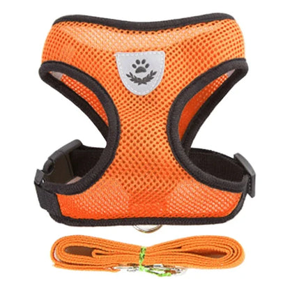 Cat & Dog Harness Vest – Adjustable Mesh with Walking Leash
