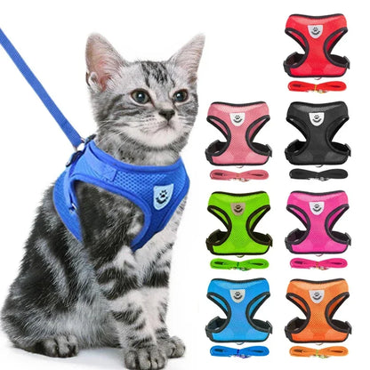 Cat & Dog Harness Vest – Adjustable Mesh with Walking Leash