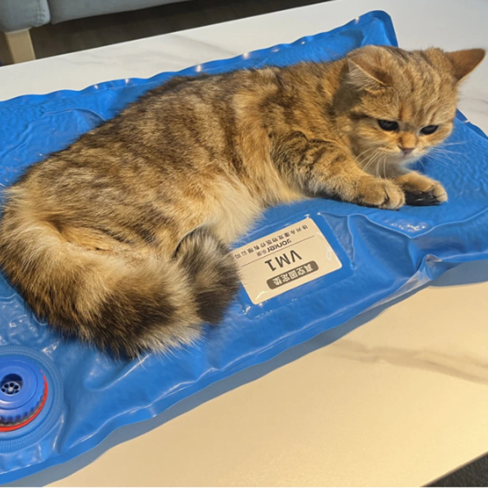 Veterinary Positioning Vacuum Mat  Small Animal Surgical Pad