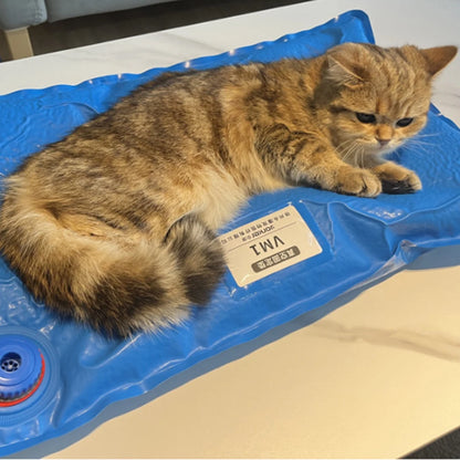 Veterinary Positioning Vacuum Mat  Small Animal Surgical Pad